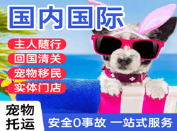 台州路桥航空空运国际宠物托运 【国